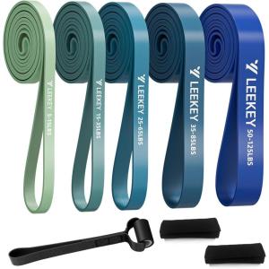 LEEKEY Resistance Bands, Exercise Bands with Handles,Pull Up Assist Bands – Band Set with Door Anchor – Bands for Working Out,Band for Men and Women Fitness Training,Home Workouts(5-125LBS BLUE)