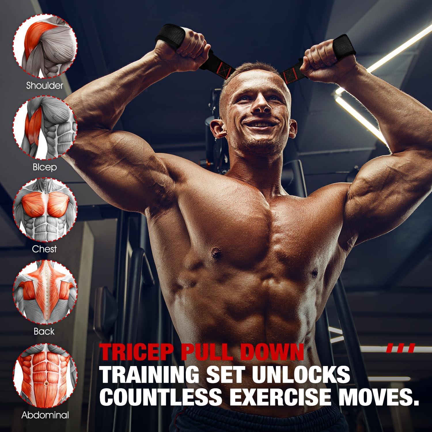 imageHOXWC Heavy Resistance Bands with Door Anchor Exercise Bands with Handles for Working Out Home Gym Workout Equipment for Push Downs Tricep Biceps Arms Back Chest Abs Shoulder TrainingBlack