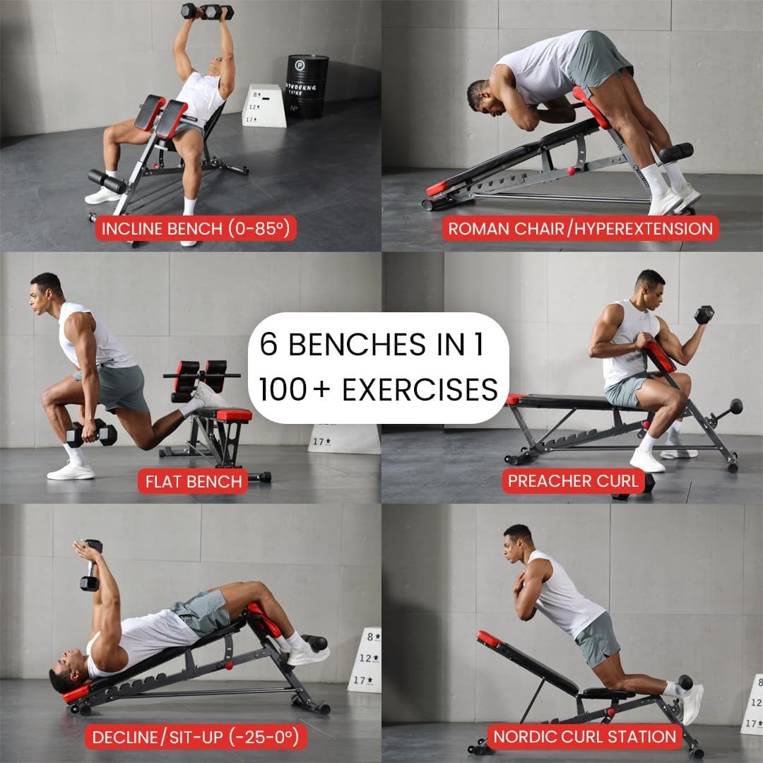 image:imageFiner Form MultiFunctional Adjustable FID Weight Bench and Roman Chair