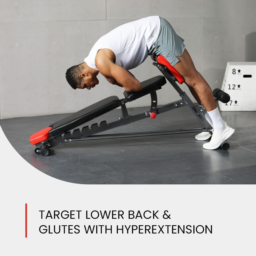 image:imageFiner Form MultiFunctional Adjustable FID Weight Bench and Roman Chair